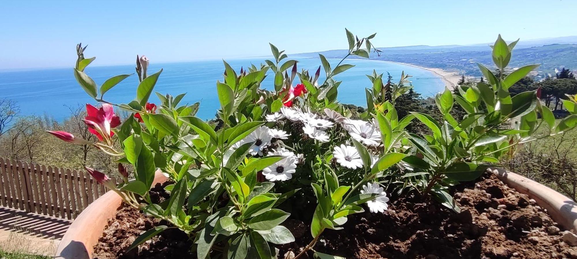 فيلا Oltre Confine Fronte Mare مارينا دي مونتينيرو المظهر الخارجي الصورة